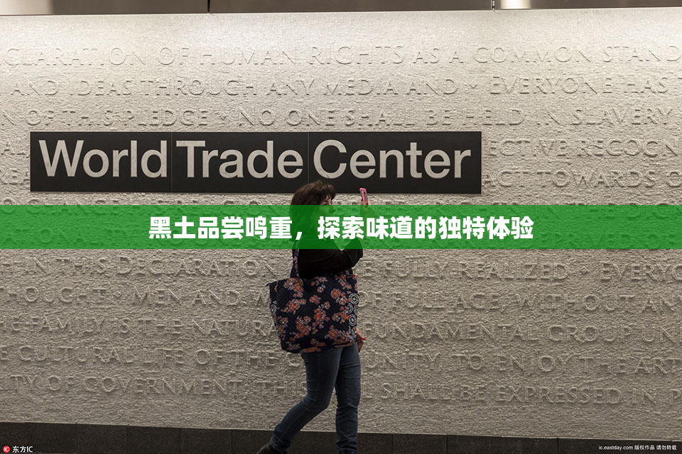 黑土品尝鸣重，探索味道的独特体验