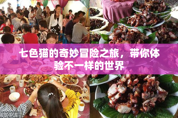七色猫的奇妙冒险之旅，带你体验不一样的世界