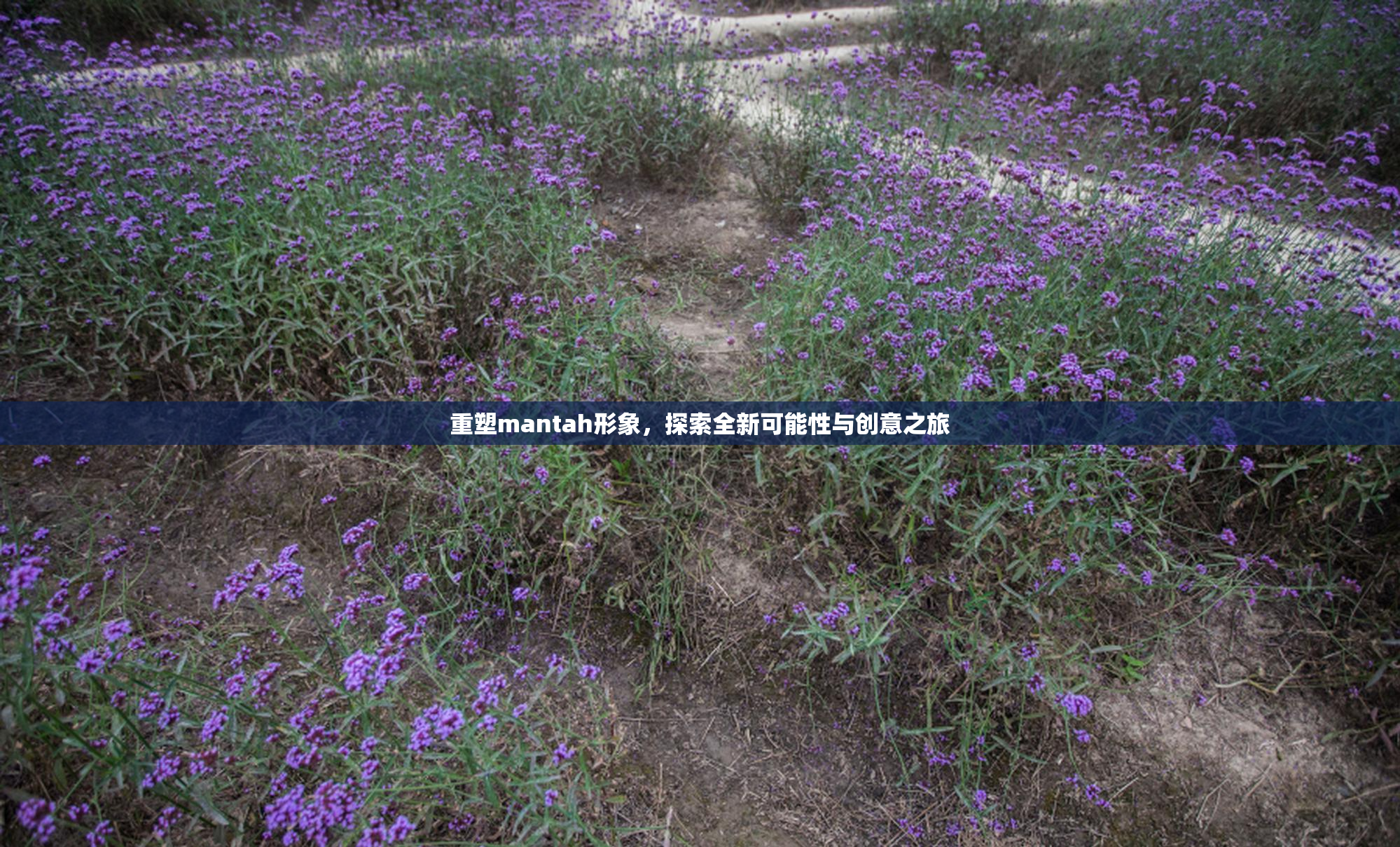 重塑mantah形象，探索全新可能性与创意之旅