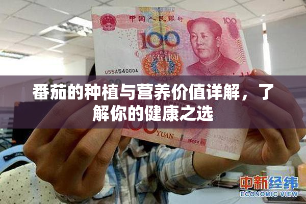 番茄的种植与营养价值详解，了解你的健康之选