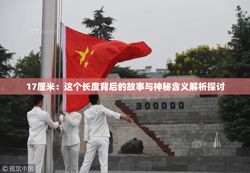 17厘米：这个长度背后的故事与神秘含义解析探讨