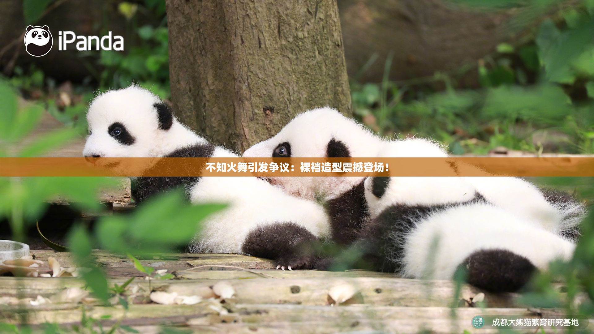 不知火舞引发争议：裸裆造型震撼登场！