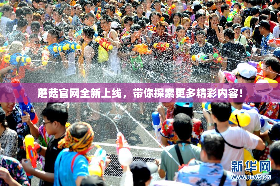 蘑菇官网全新上线，带你探索更多精彩内容！
