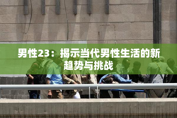 男性23：揭示当代男性生活的新趋势与挑战