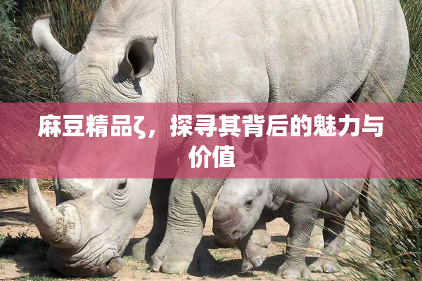 麻豆精品ζ，探寻其背后的魅力与价值
