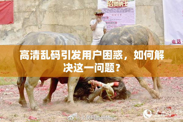 高清乱码引发用户困惑，如何解决这一问题？