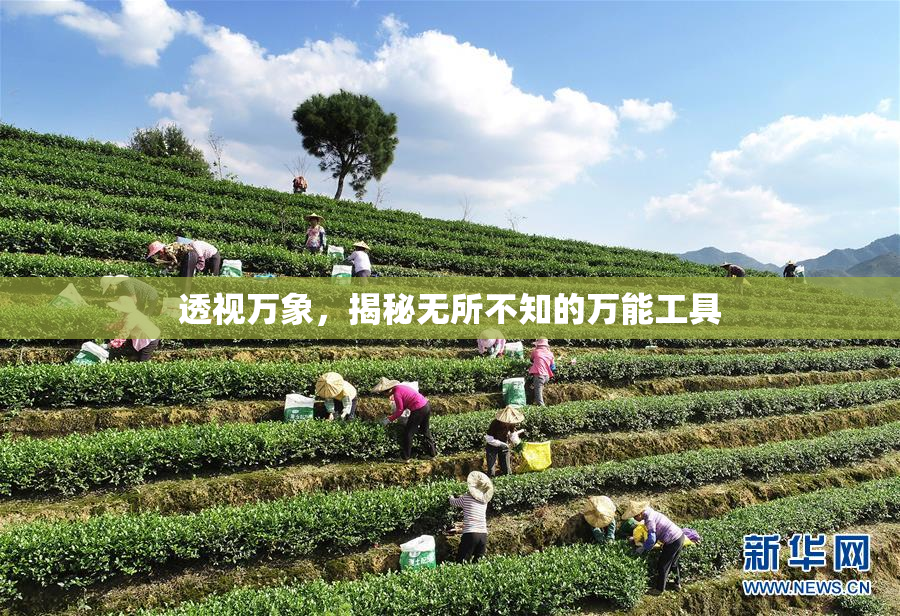 透视万象，揭秘无所不知的万能工具