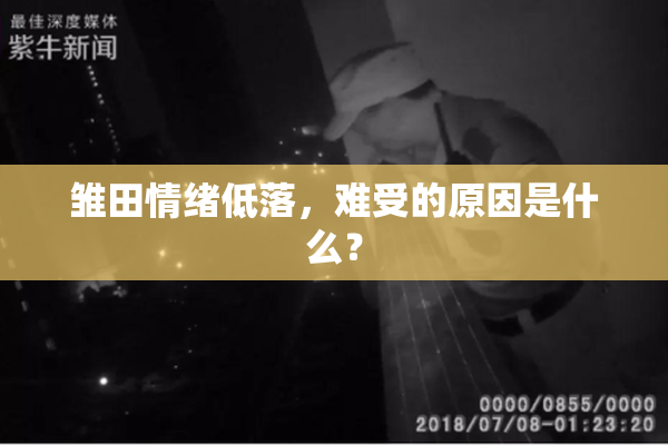 雏田情绪低落，难受的原因是什么？