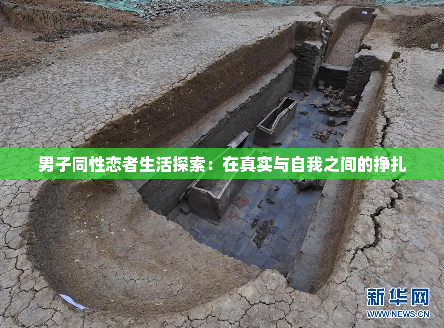 男子同性恋者生活探索：在真实与自我之间的挣扎