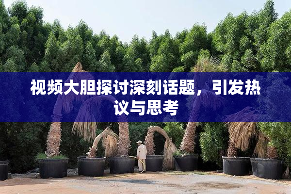 视频大胆探讨深刻话题，引发热议与思考