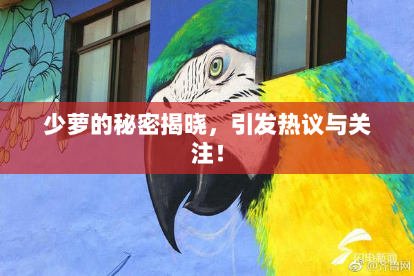 少萝的秘密揭晓，引发热议与关注！