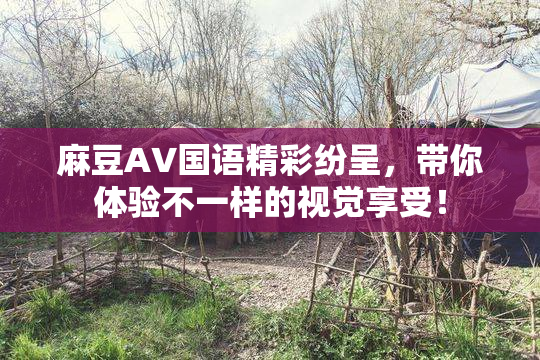 麻豆A∨国语精彩纷呈，带你体验不一样的视觉享受！