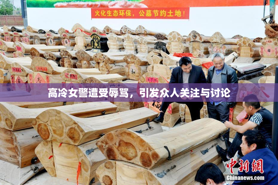 高冷女警遭受辱骂，引发众人关注与讨论