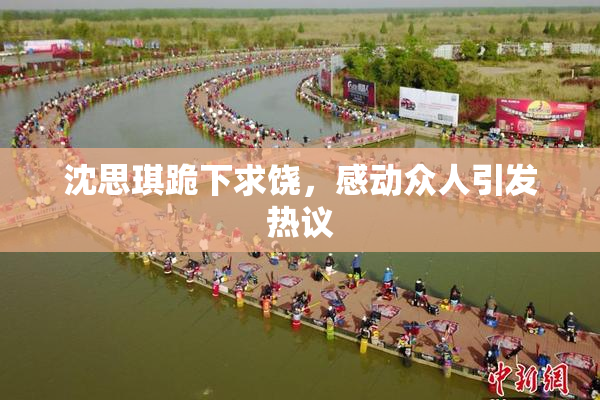 沈思琪跪下求饶，感动众人引发热议