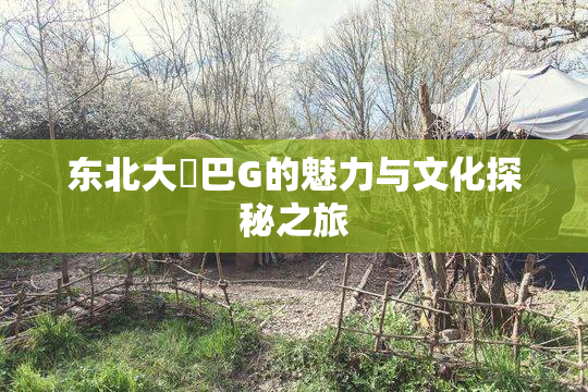 东北大鷄巴G的魅力与文化探秘之旅