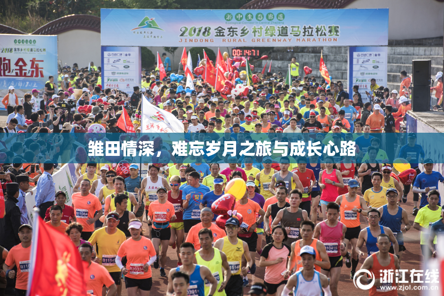 雏田情深，难忘岁月之旅与成长心路