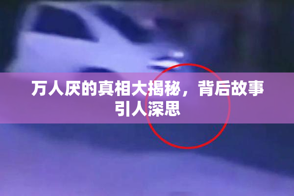 万人厌的真相大揭秘，背后故事引人深思