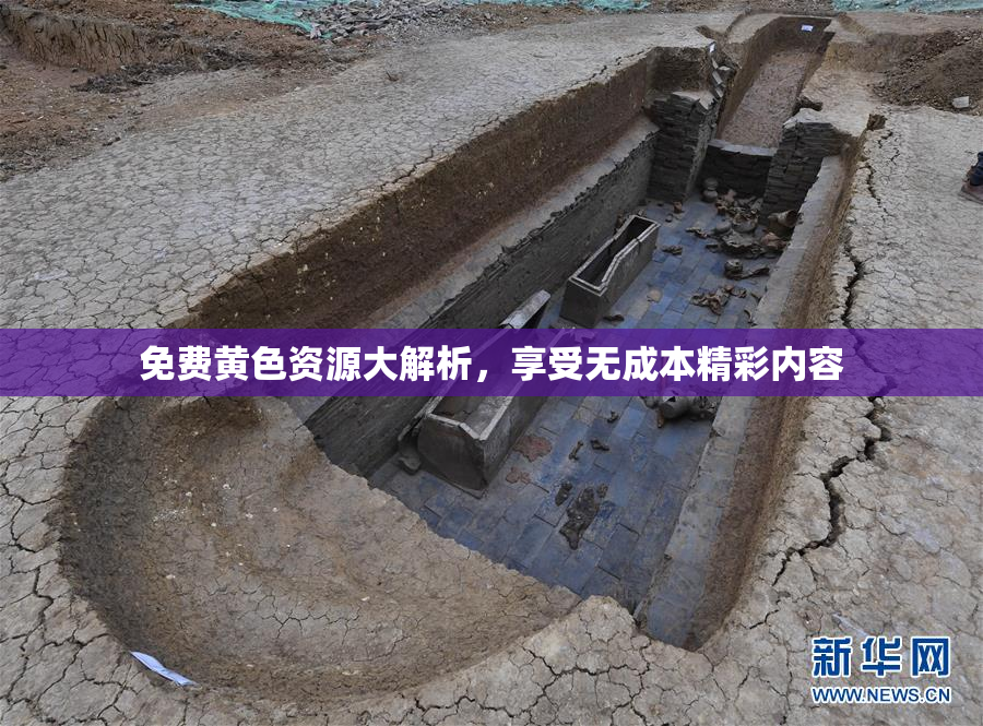 免费黄色资源大解析，享受无成本精彩内容