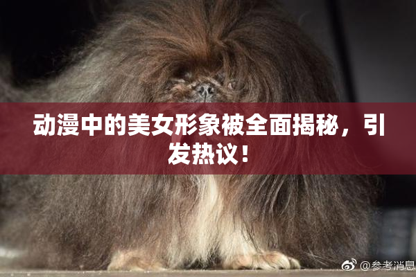 动漫中的美女形象被全面揭秘，引发热议！