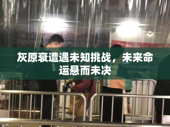 灰原衰遭遇未知挑战，未来命运悬而未决