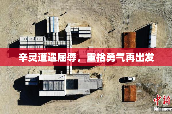 辛灵遭遇屈辱，重拾勇气再出发