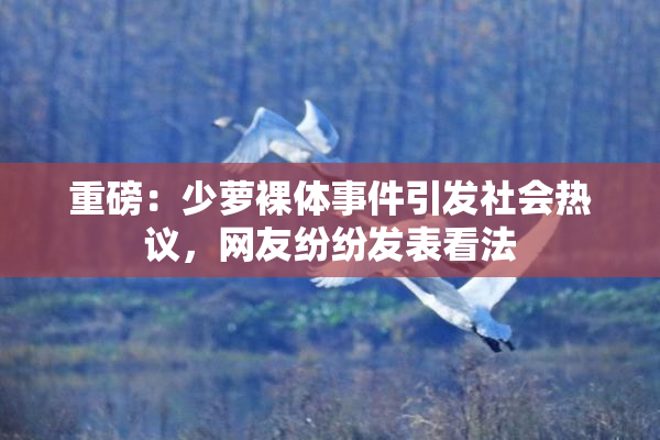 重磅：少萝裸体事件引发社会热议，网友纷纷发表看法