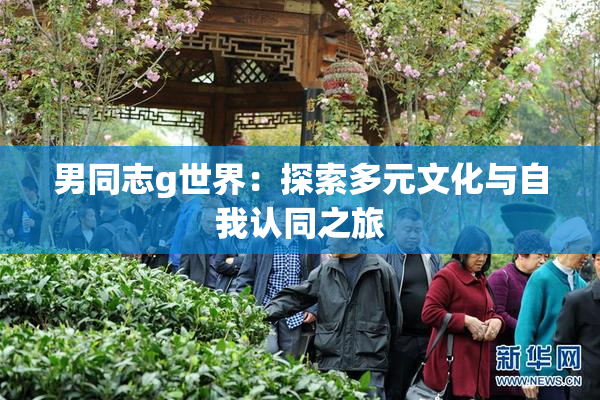 男同志g世界：探索多元文化与自我认同之旅
