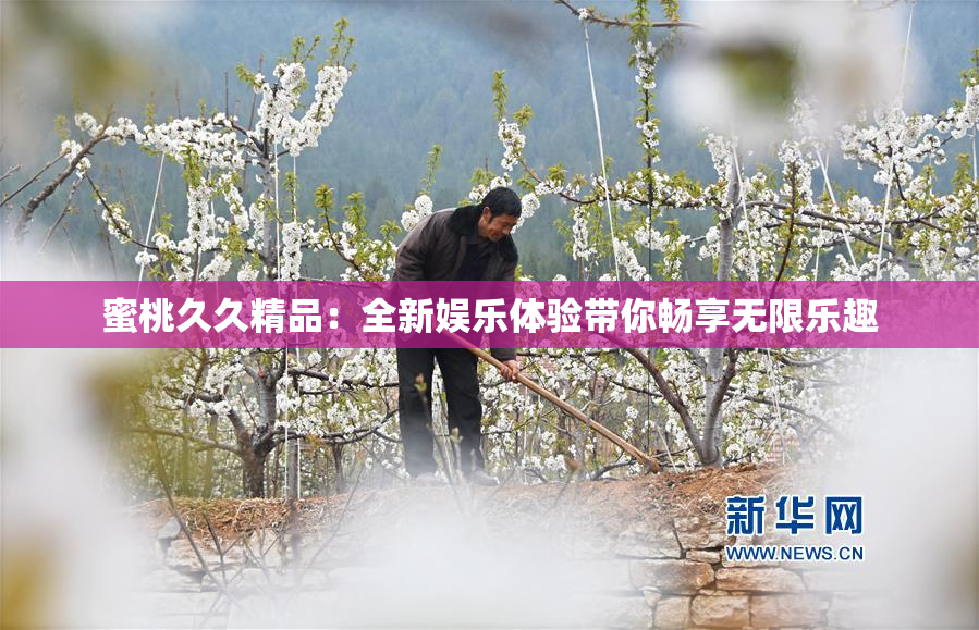 蜜桃久久精品：全新娱乐体验带你畅享无限乐趣