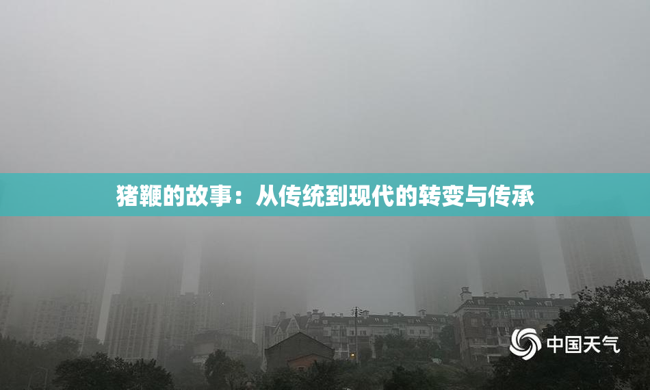 猪鞭的故事：从传统到现代的转变与传承