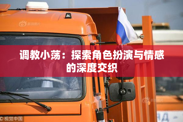 调教小荡：探索角色扮演与情感的深度交织