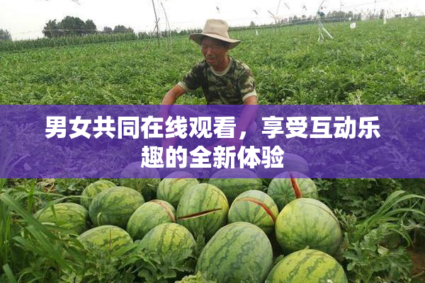 男女共同在线观看，享受互动乐趣的全新体验