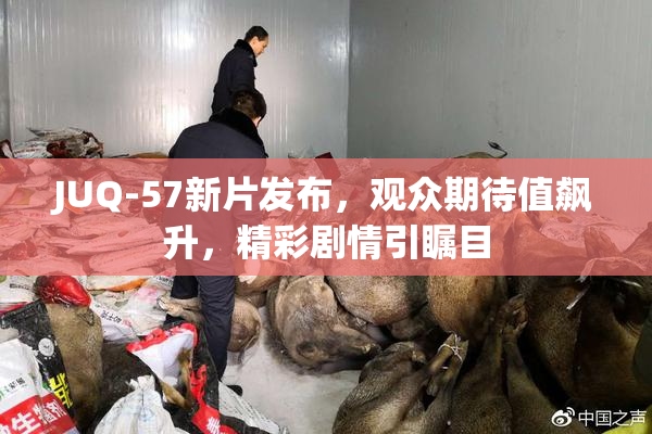 JUQ-57新片发布，观众期待值飙升，精彩剧情引瞩目