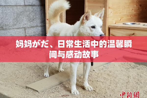 妈妈がだ、日常生活中的温馨瞬间与感动故事