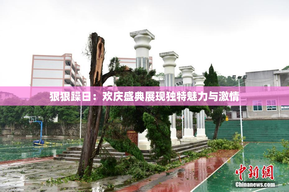 狠狠躁日：欢庆盛典展现独特魅力与激情