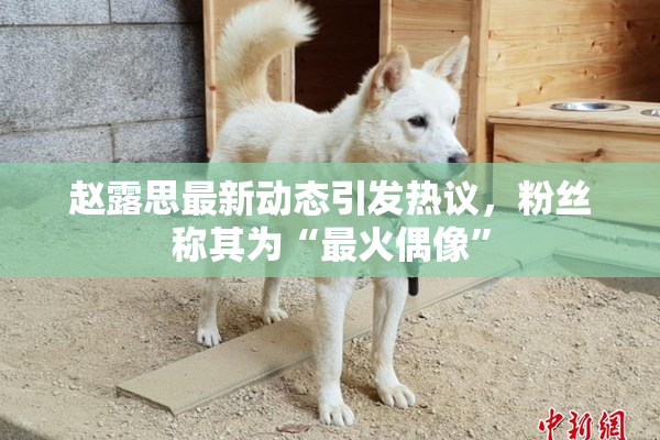 赵露思最新动态引发热议，粉丝称其为“最火偶像”