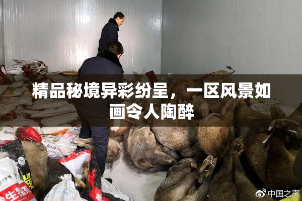 精品秘境异彩纷呈，一区风景如画令人陶醉