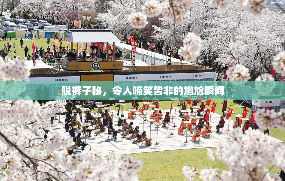 脱裤子秘，令人啼笑皆非的尴尬瞬间