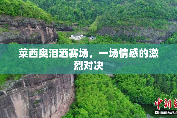 菜西奥泪洒赛场，一场情感的激烈对决