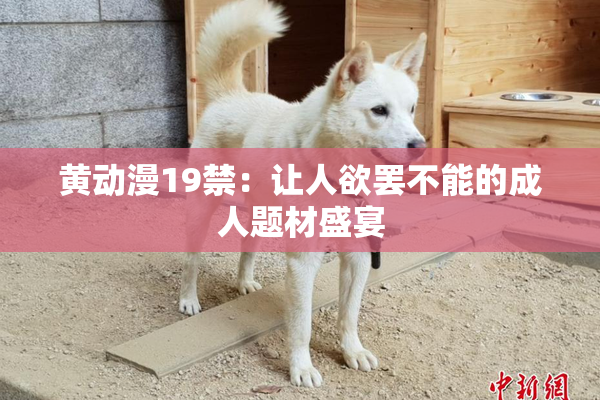 黄动漫19禁：让人欲罢不能的成人题材盛宴