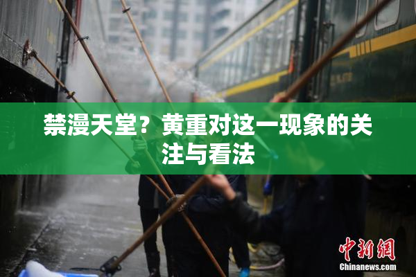 禁漫天堂？黄重对这一现象的关注与看法
