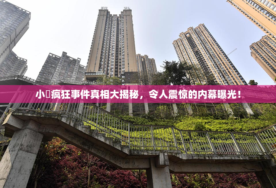 小泬疯狂事件真相大揭秘，令人震惊的内幕曝光！