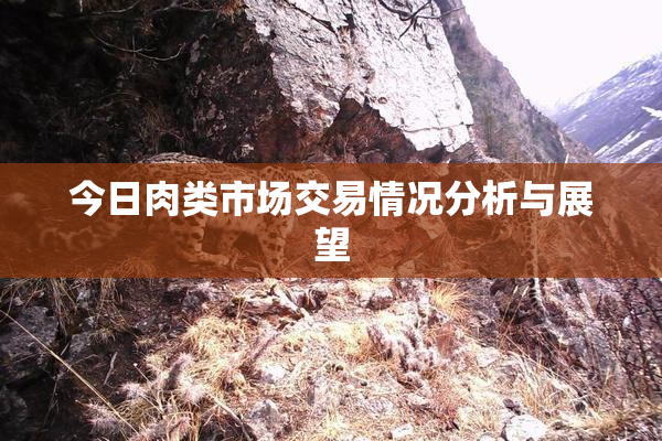 今日肉类市场交易情况分析与展望