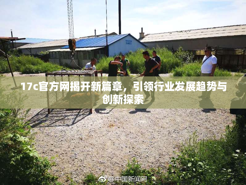17c官方网揭开新篇章，引领行业发展趋势与创新探索