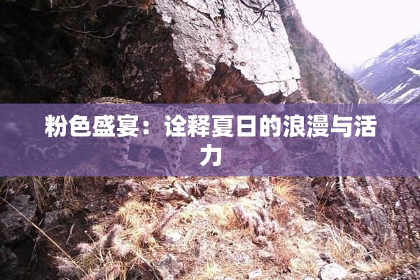 粉色盛宴：诠释夏日的浪漫与活力