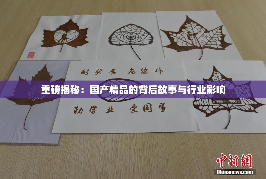 重磅揭秘：国产精品的背后故事与行业影响