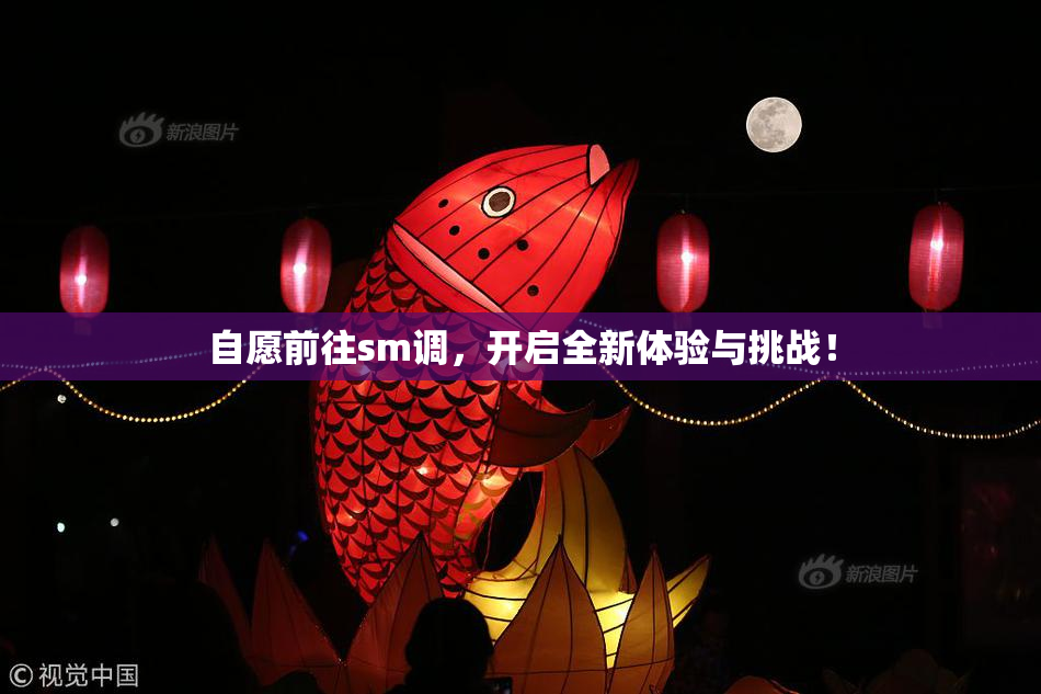 自愿前往sm调，开启全新体验与挑战！