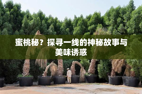 蜜桃秘？探寻一线的神秘故事与美味诱惑