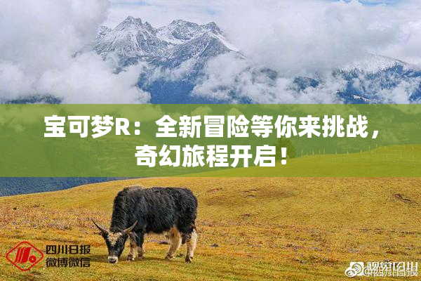 宝可梦R：全新冒险等你来挑战，奇幻旅程开启！