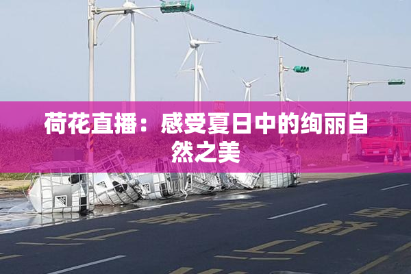 荷花直播：感受夏日中的绚丽自然之美