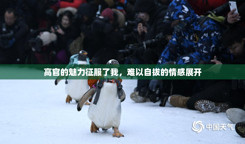 高官的魅力征服了我，难以自拔的情感展开